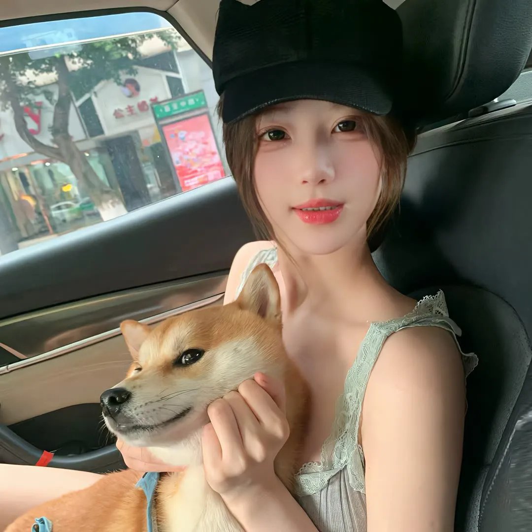 春暖花开的时候封面