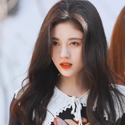 真爱无尽封面